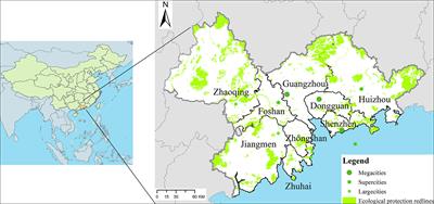 Evaluating the impact of multi scenario land use change simulation on carbon storage at different scales: a case study of Pearl River Delta Urban Agglomeration